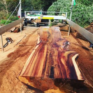 raw timber slab